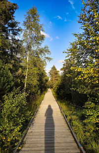 Boardwalk amidst trees against sky