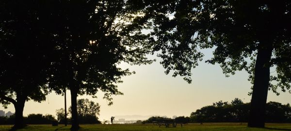 Silhouette trees on field against sky