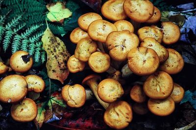 Full frame shot of vegetables