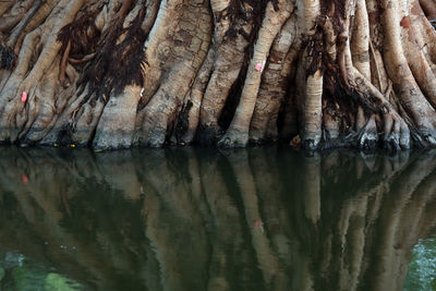 Close-up of rock by river