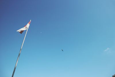 Low angle view of bird flying against blue sky