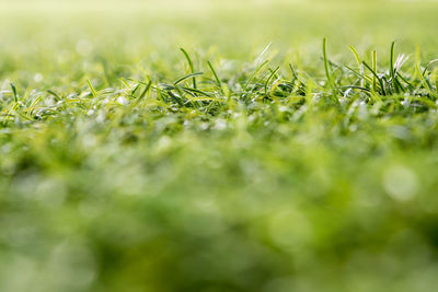 The texture of plastic artificial grass of school yard by shallow depth of field