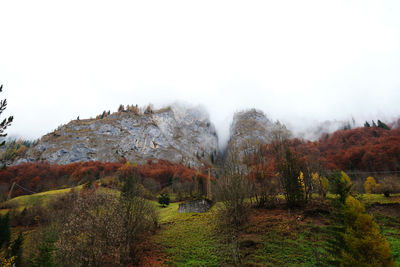 Scenic view of trees against clear sky during autumn