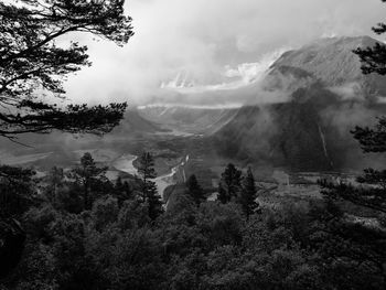 Scenic view of forest against sky / norwegens fjorde / landschaft