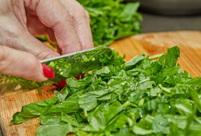 Close-up of hand on leaf