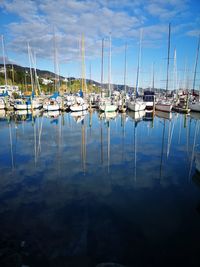 Sailboats moored in harbor