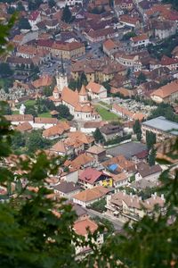 High angle view of townscape and trees in town