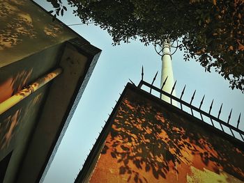 Low angle view of tree against sky