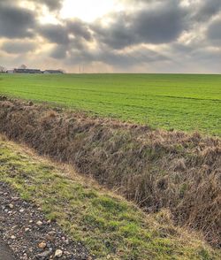 Scenic view of field against sky