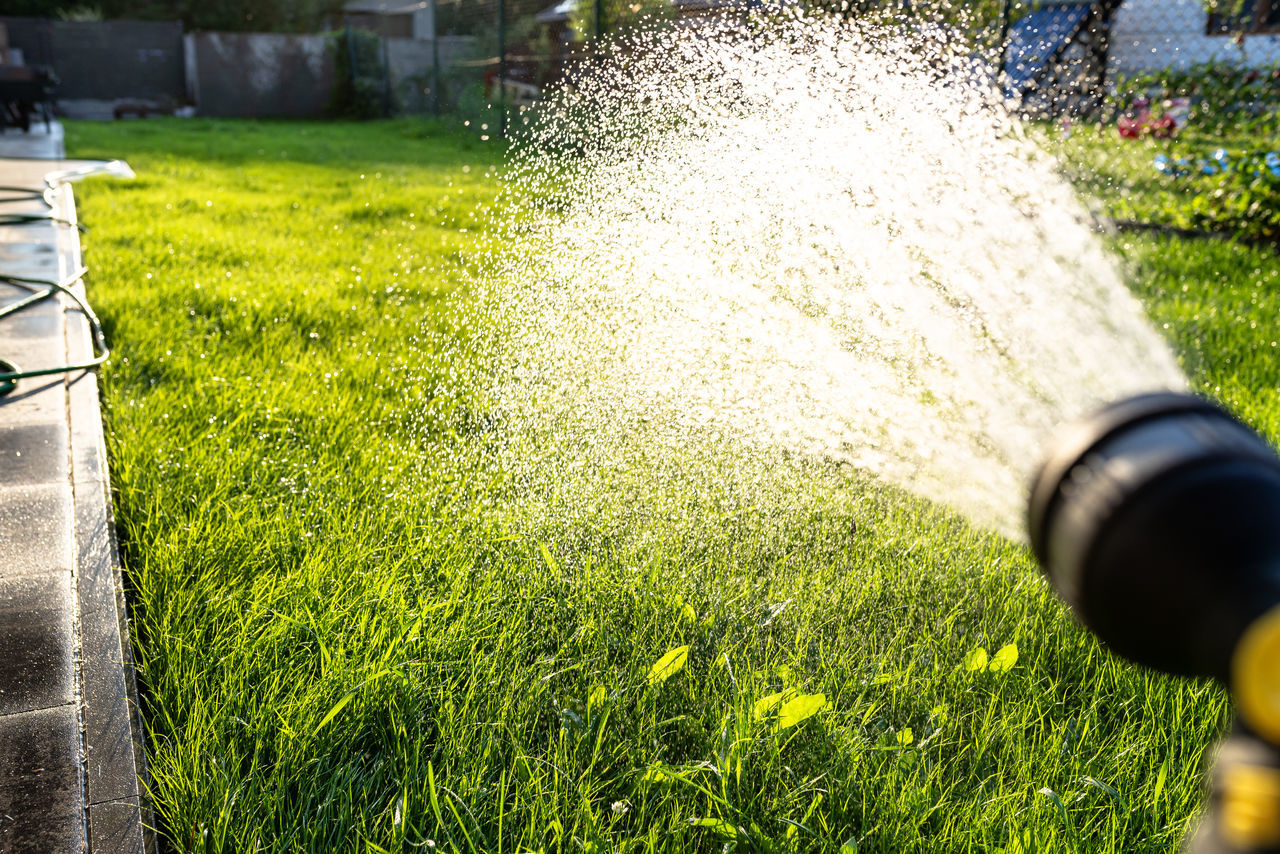 grass, lawn, green, plant, flower, nature, spraying, sunlight, garden, day, growth, motion, tree, watering, outdoors, yellow, water, shrub, yard, leaf, field, gardening equipment, no people, front or back yard, backyard, hose, sprinkler, architecture