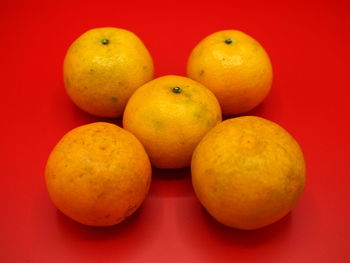 High angle view of oranges on table