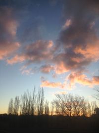 Silhouette trees on field against sky at sunset