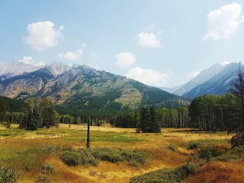 Scenic view of field and mountains against sky