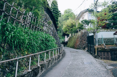 Footpath amidst trees and plants against building