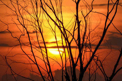 Close-up of silhouette plants against orange sky