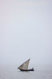 Sailboat sailing in sea against clear sky