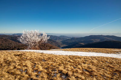 Scenic view of snowcapped mountains against clear blue sky