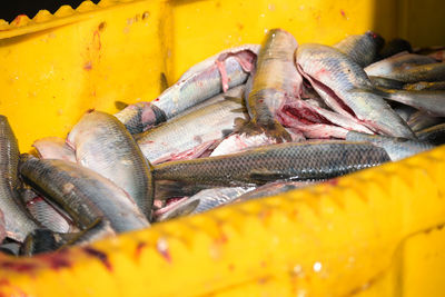 Close-up of fish for sale at market stall