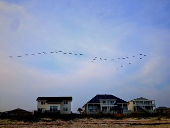 Low angle view of birds flying in sky