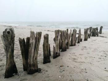 Wooden posts on beach against sky