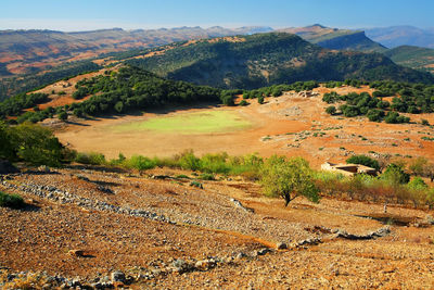 Scenic view of landscape