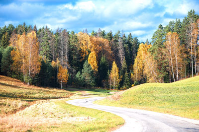 Road amidst trees against sky