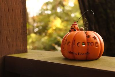 Close-up of face on table