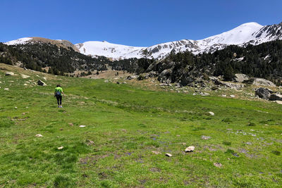 Rear view of person on field against sky