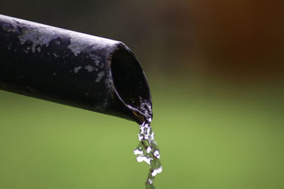 Close-up of water drop falling from pipe