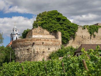 Dürnstein at the danbue river