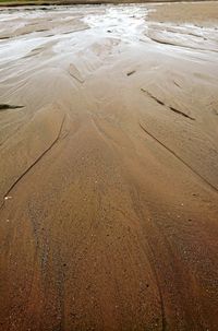 Scenic view of beach