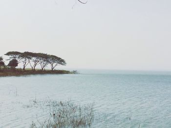 tranquil scene