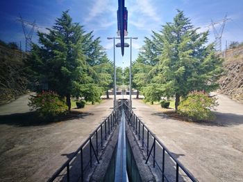 Footpath amidst trees against sky