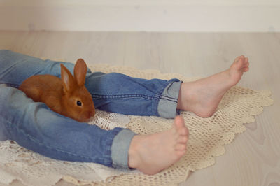 Low section of boy with brown rabbit at home