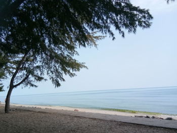 Scenic view of sea against clear sky