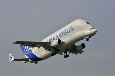 Airplane flying against blue sky