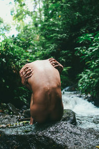 Rear view of shirtless man statue against trees