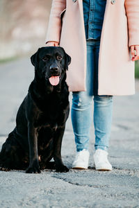 Low section of person with dog