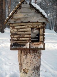 Wooden structure on snow covered landscape