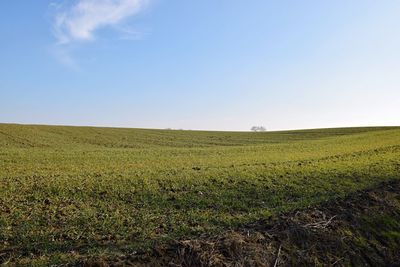 Scenic view of grassy field against cloudy sky