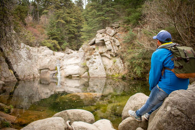 Rear view of man on rock in forest