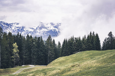 Scenic view of trees and mountains against sky