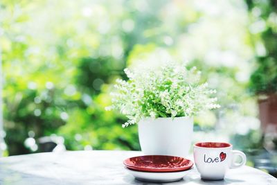 Close-up of coffee cup and flower pot on table