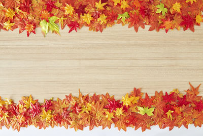 Close-up of autumn leaves on plant