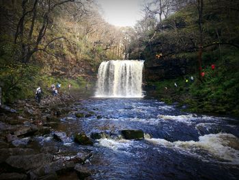 Scenic view of waterfall against trees in forest