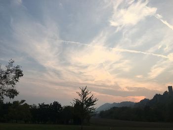 Silhouette trees on field against sky at sunset