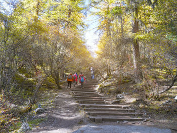 People walking on road
