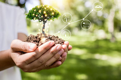 Close-up of hand holding plant