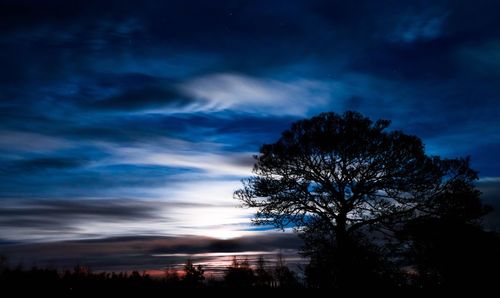 Low angle view of silhouette tree against sky at night