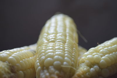 Close-up of lemon slice against black background